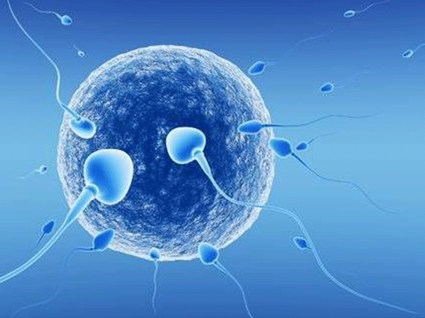 辐射会影响精子和卵子的质量