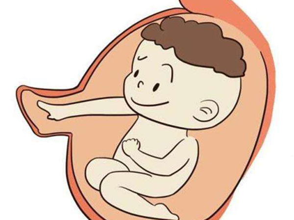 胎儿窘迫主要是胎儿呼吸困难