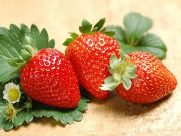草莓是胎梦中常见的水果