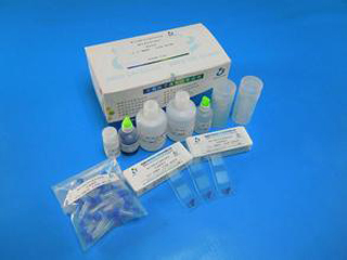 博锐德 精子DNA碎片检测试剂盒(精子染色质扩散法)